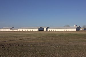 Highway Two Storage Looking East